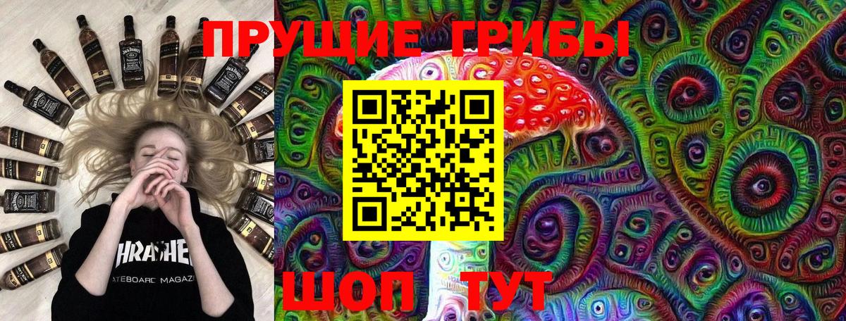 Коммунар  где купить наркоту  Галлюциногенные грибы мицелий  Вход с VPN  Псилоцибиновые грибы ЛСД 